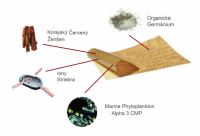 /album/fotogaleria/naplaste-zlozenie-png/